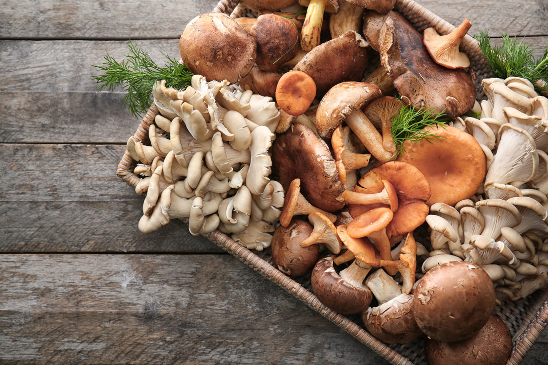 Pilz-Arrangement in einem Holz-Tablett auf einem Tisch.