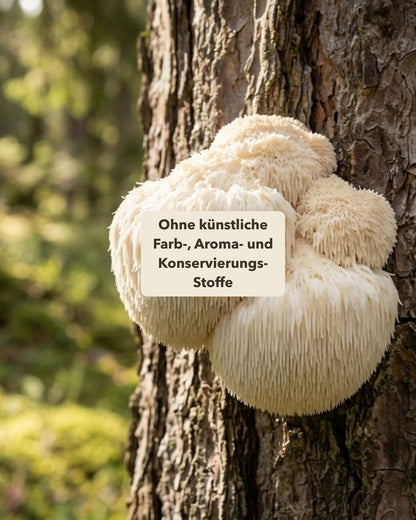 Lions Mane (Igelstachelbart) am Baum. Textoverlay 'Ohne künstliche Farb-, Aroma- und Konservierungs-Stoffe'