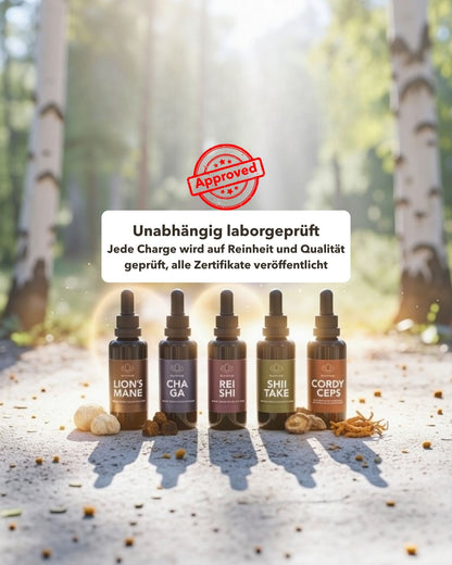 Alle Naurua Vitalpilz Extrakte abgebildet auf dem Boden im Wald. Textoverlay: 'Unabhängig laborgeprüft: Jede Charge wird auf Reinheit und Qualität geprüft, alle Zertifikate veröffentlicht'