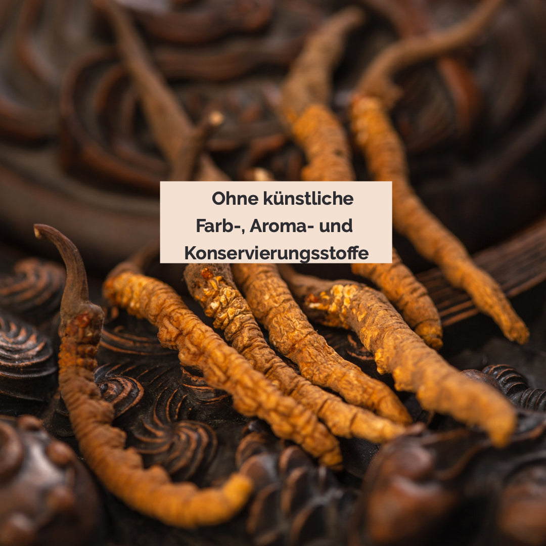 Cordyceps liegend. «Ohne künstliche Farb-, Aroma- und Konservierungsstoffe.»