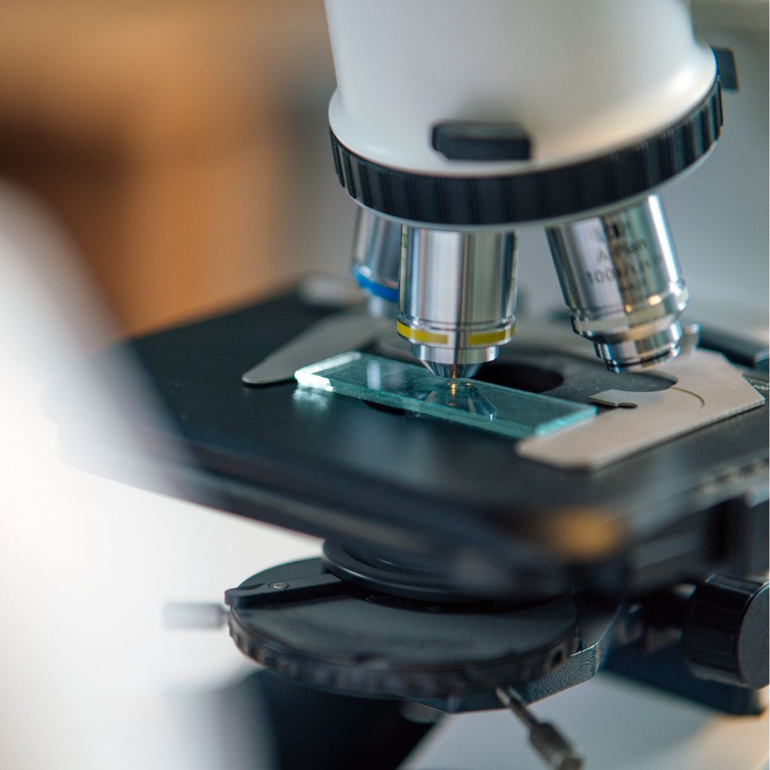 Mikroskop für Laboranalyse zur Qualitätskontrolle