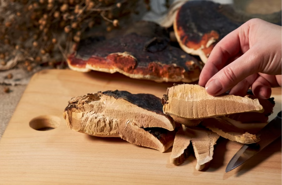 Aufgeschnittener Vitalpilz Reishi mit Hand auf Holzbrett