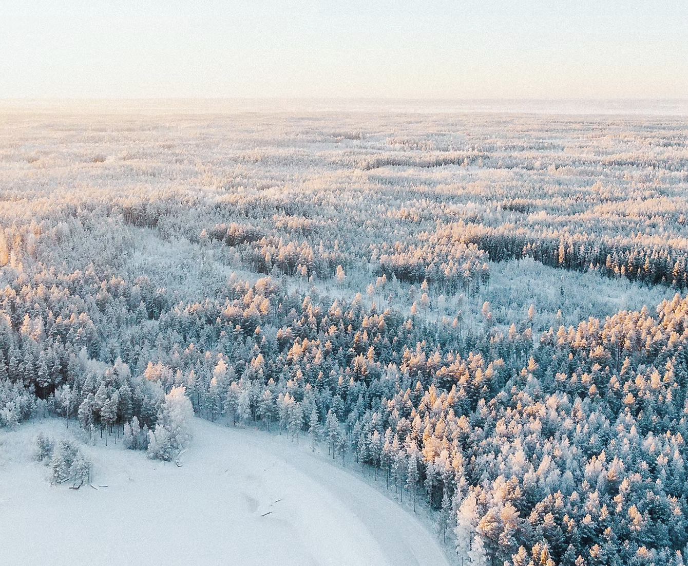 Waldaufnahme von oben im Winter in Finnland mit Abendsonne
