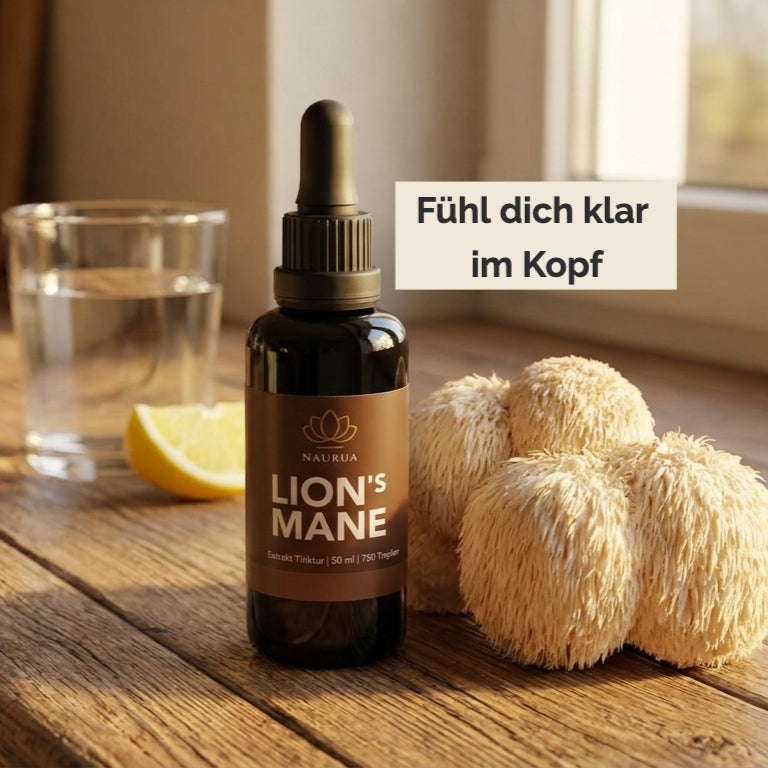 Lion’s Mane Extrakt Tinktur Flasche auf einem Küchentisch. Daneben frischer Lion’s Mane. «Fühl dich klarer im Kopf»