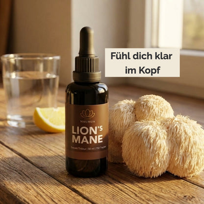 Lion’s Mane Extrakt Tinktur Flasche auf einem Küchentisch. Daneben frischer Lion’s Mane. «Fühl dich klarer im Kopf»