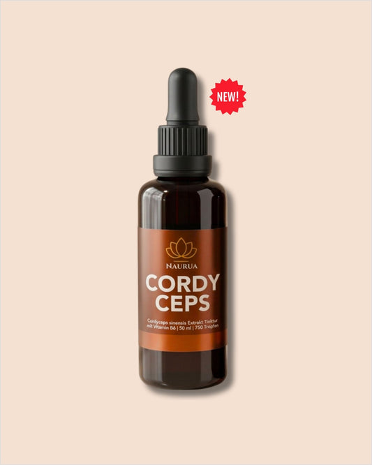 Cordyceps Extrakt Tinktur Flasche, 50ml