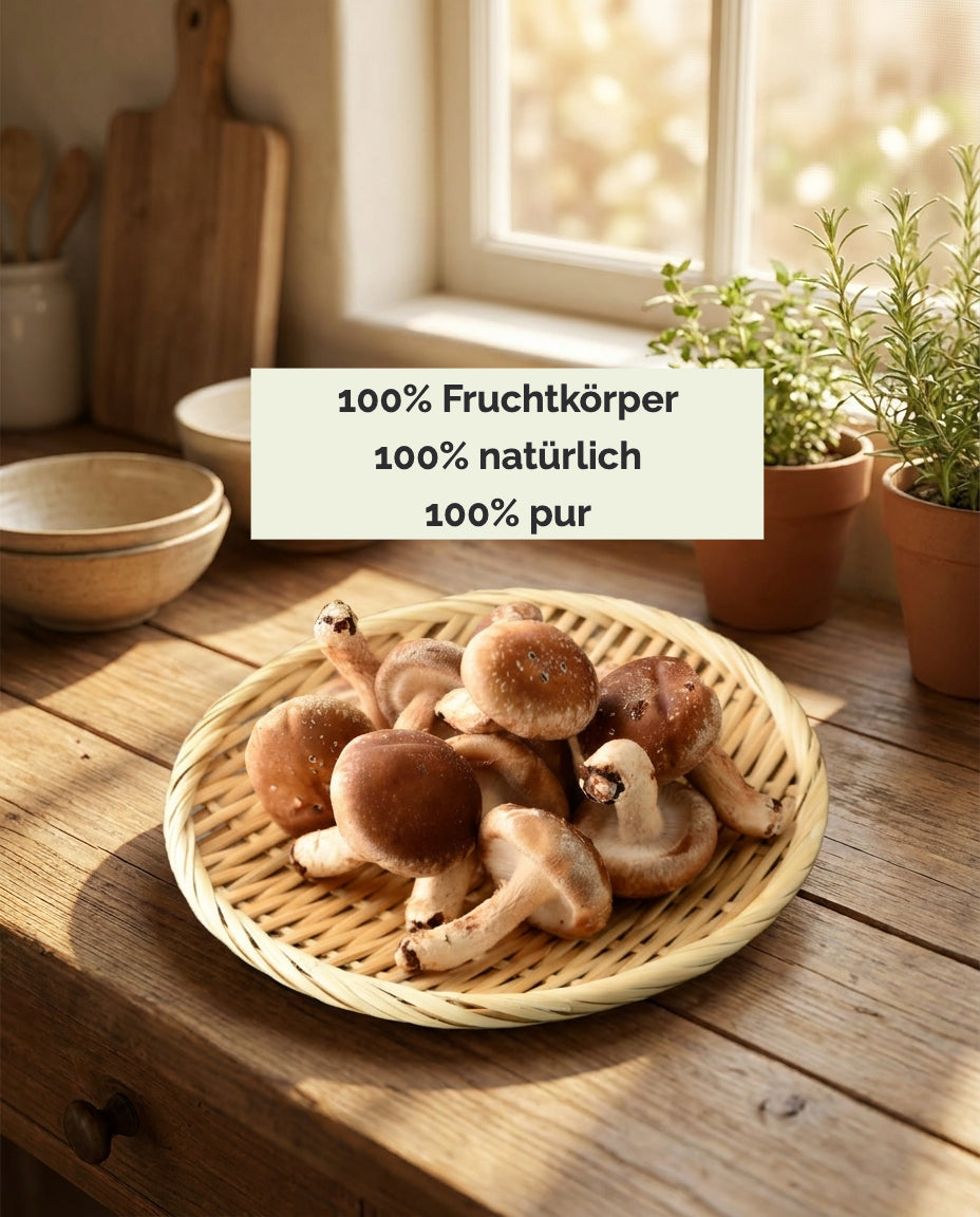 Frischer Shiitake in einer Schale. «100% Fruchtkörper, 100% natürlich, 100% pur»
