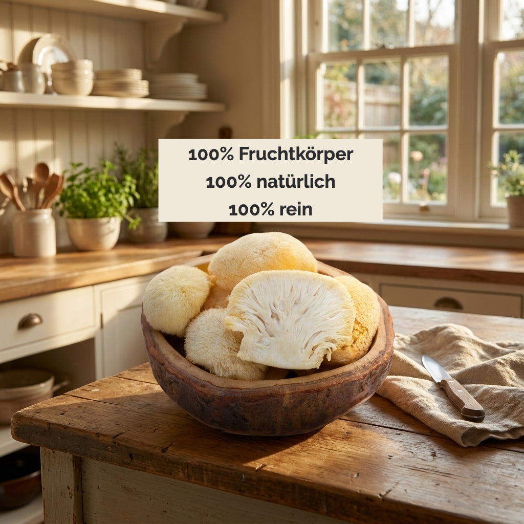 Frischer Lion’s Mane in der Küche in einer Schale. «100% Fruchtkörper, 100% natürlich, 100% rein.»