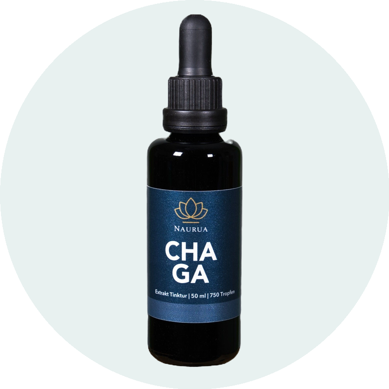 Chaga Extrakt Tinktur Flasche, 50ml