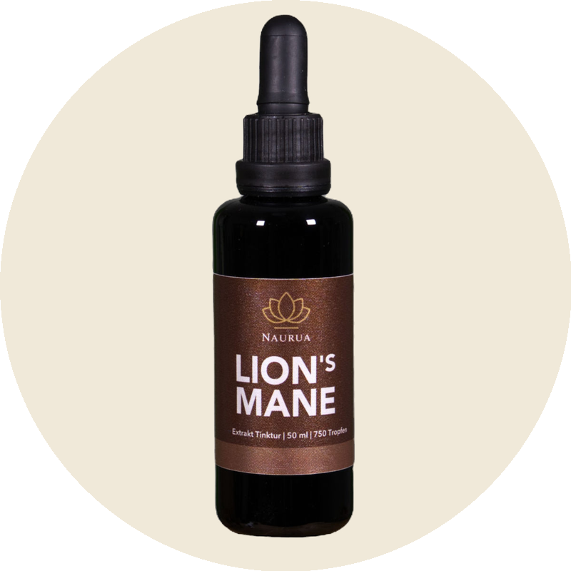 Lion's Mane Extrakt Tinktur Flasche, 50ml