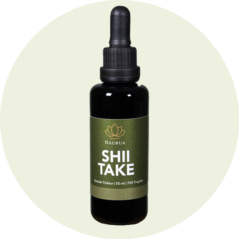Shiitake Extrakt Tinktur Flasche, 50ml